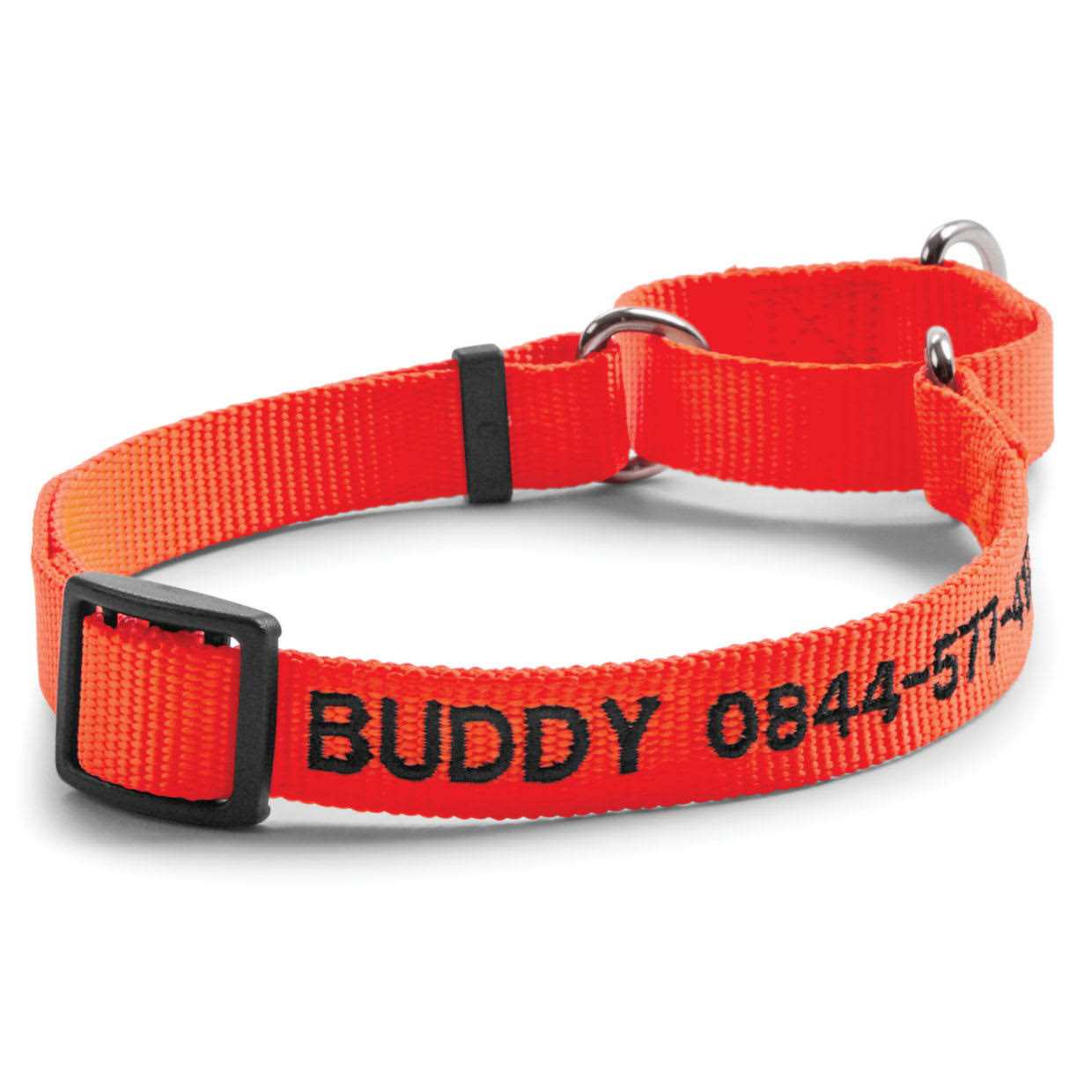Orvis Dog’S Martingale Collar - Healthber