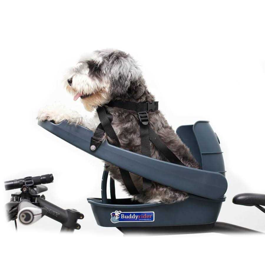 Buddyrider Dog Bicycle Seat Safety Dog Bike Seat For Dogs Up To 25 lbs - Healthber