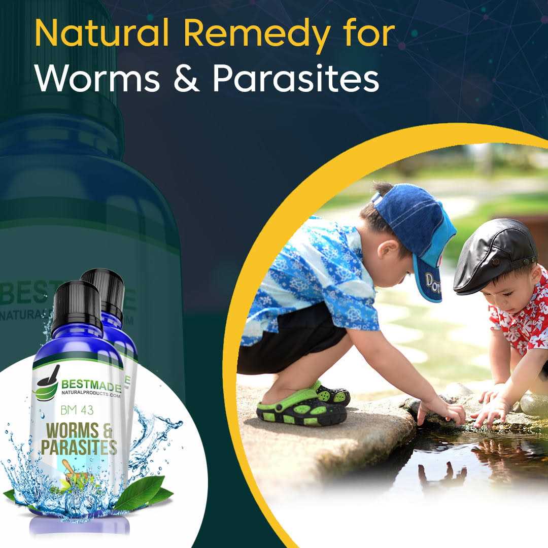 Bestmade Natural Products Worms and Parasites Remedy for Humans Bm43 - Healthber