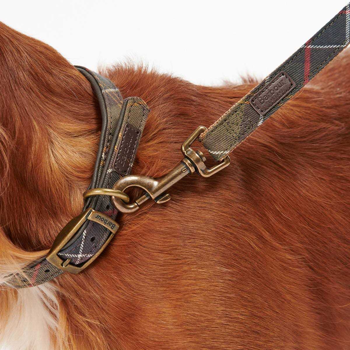 Barbour Tartan Webbing Collar - Healthber