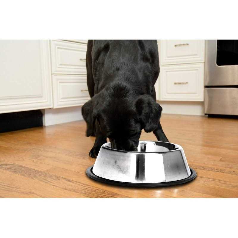 Iconic Pet 2 pack Stainless Steel Non-Skid Pet Bowl For Dog Or Cat - Healthber