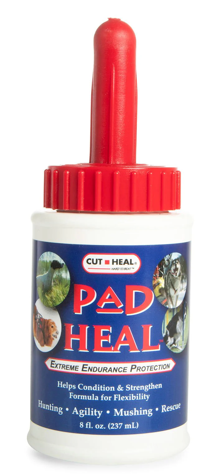 Pad Heal, 8 oz - Healthber