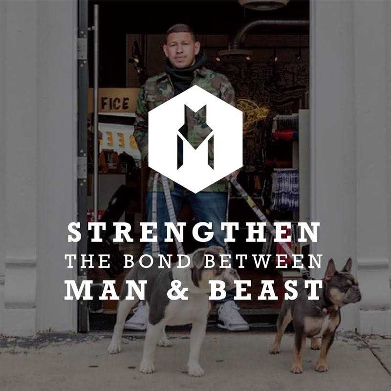 Wolfgang Martingale Dog Collar - Healthber
