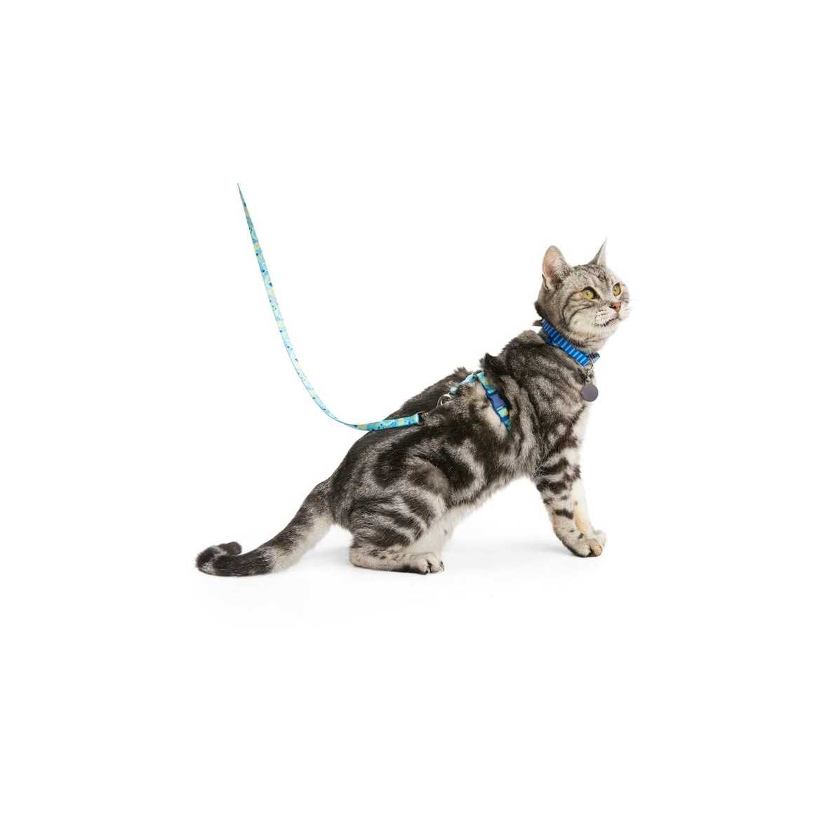 YOULY Kitten Harness & Lead - Healthber