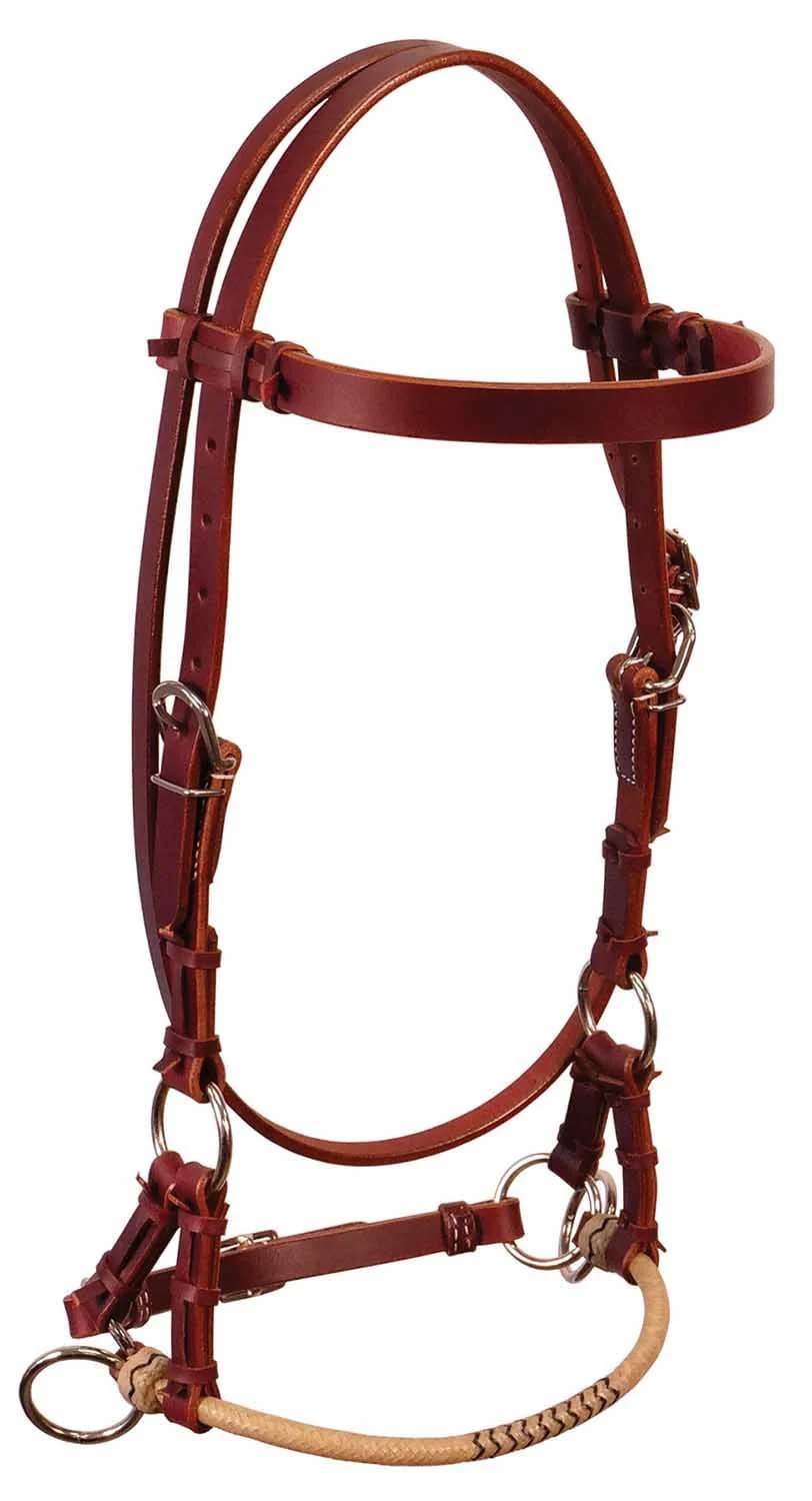 Buffalo Leather Fully Adjustable Rawhide Side Pull Headstall - Healthber