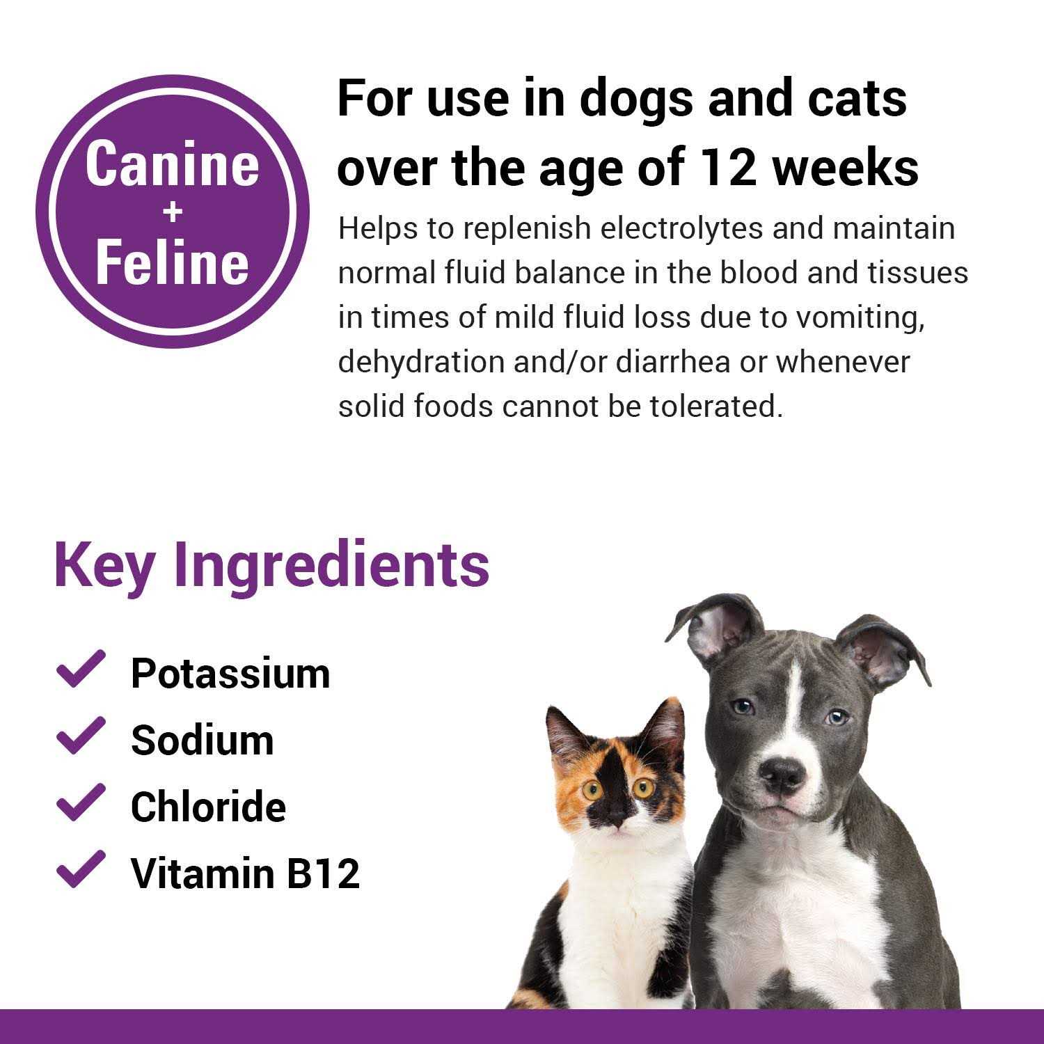 Vet Classics Pet-A-Lyte Oral Electrolyte Solution - Healthber