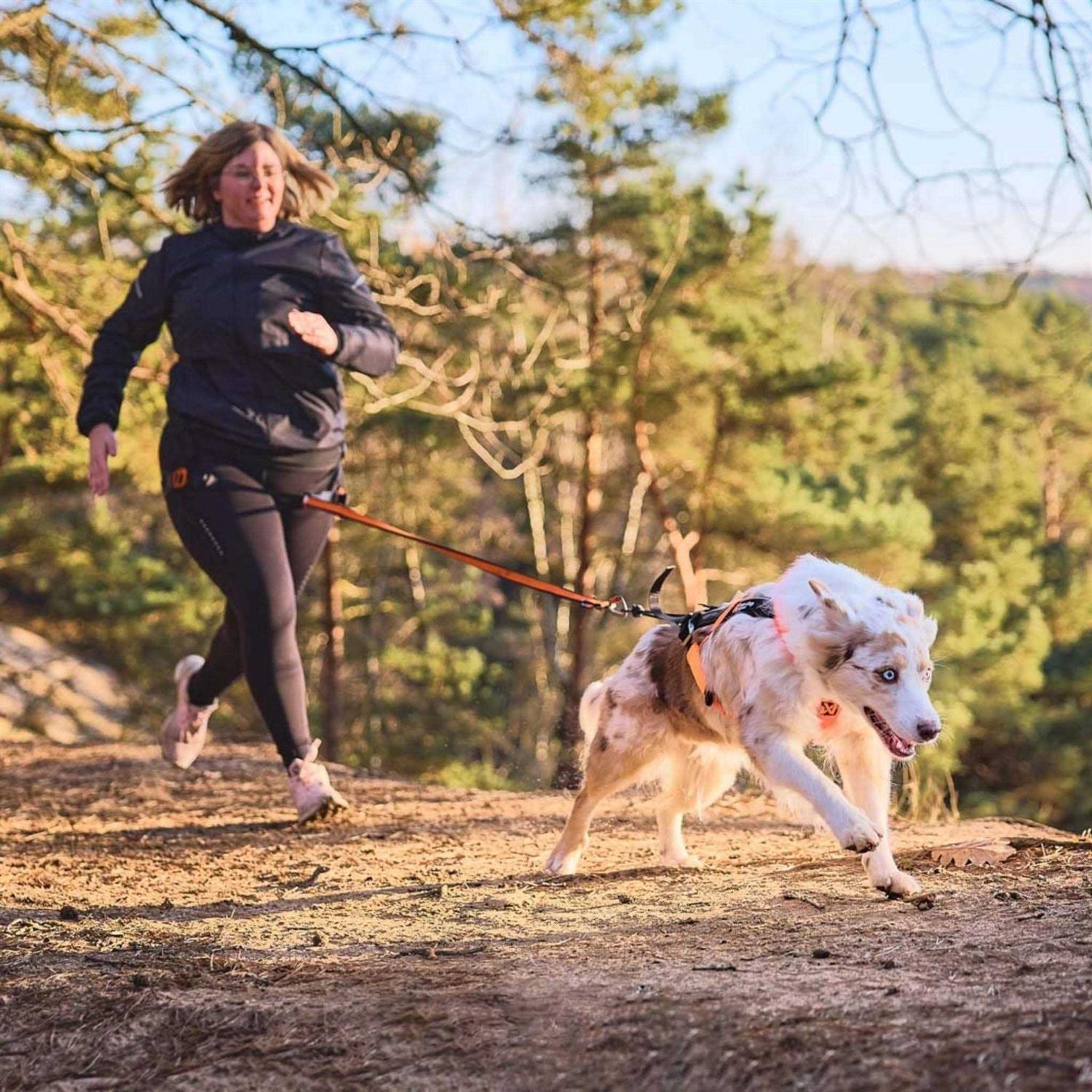 Non-Stop Dogwear Freemotion Harness 5.0 - Healthber
