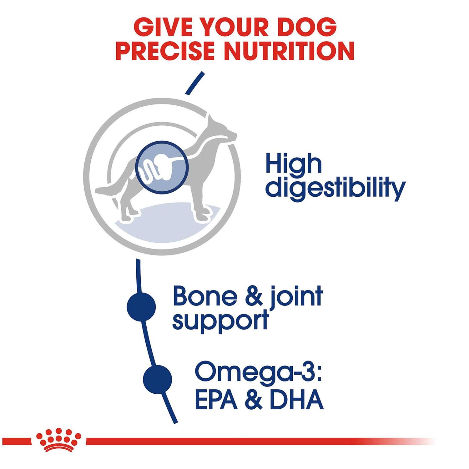 Royal Canin Large Breed Adult Dog Dry Food - Healthber