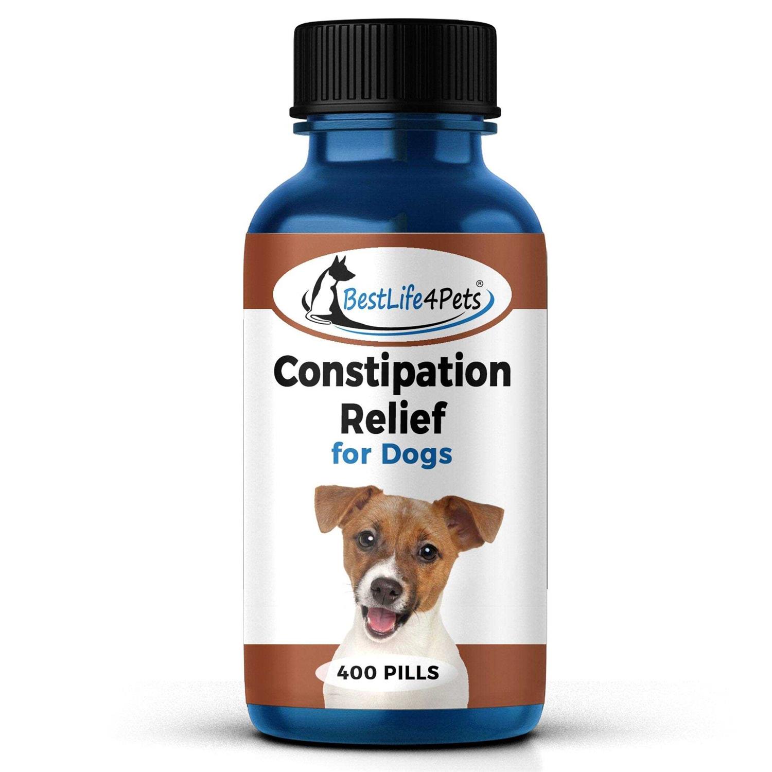 Natural Dog Laxative & Constipation Treatment // Bestlife4pets - Healthber