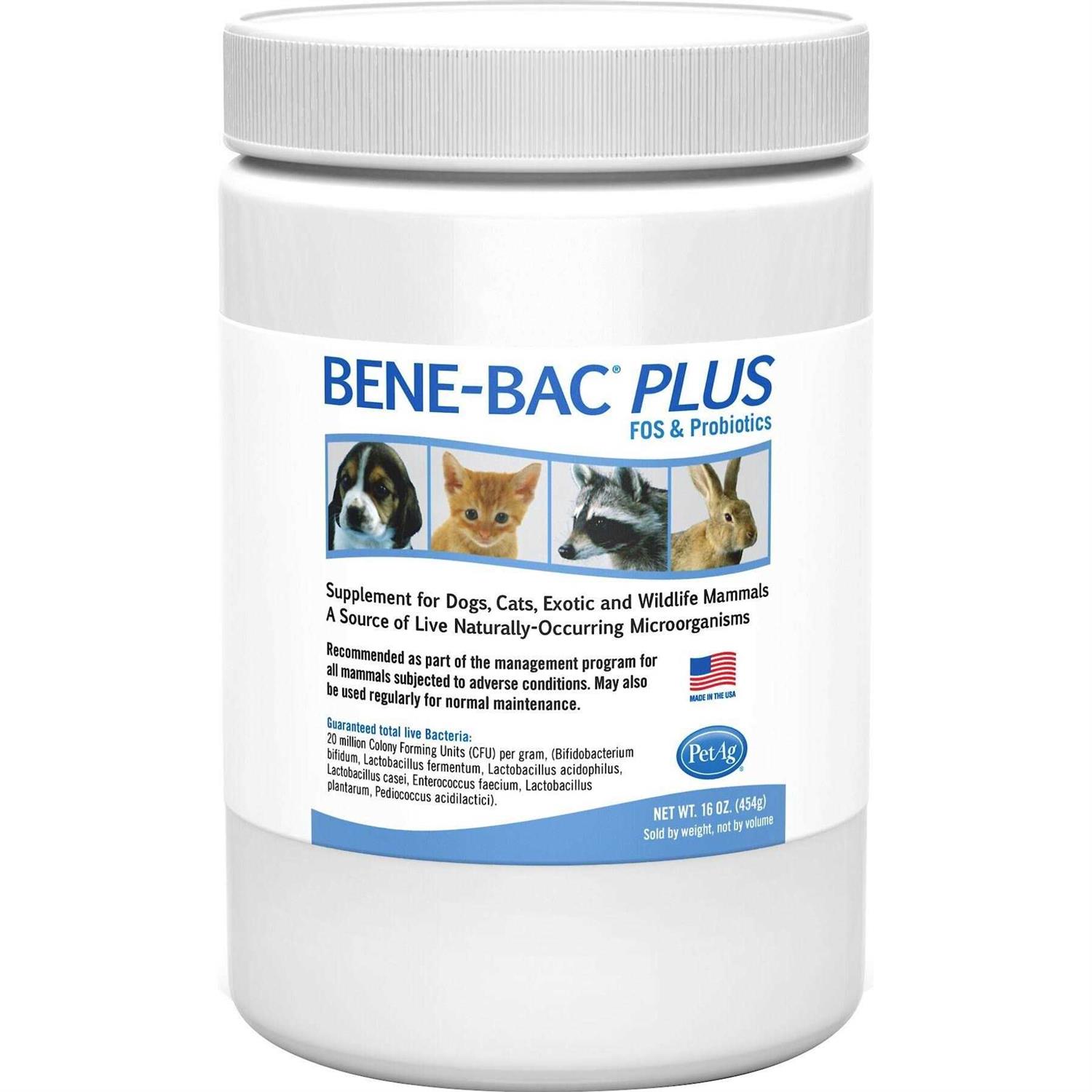 PetAg Bene-Bac Plus Pet Powder - Healthber