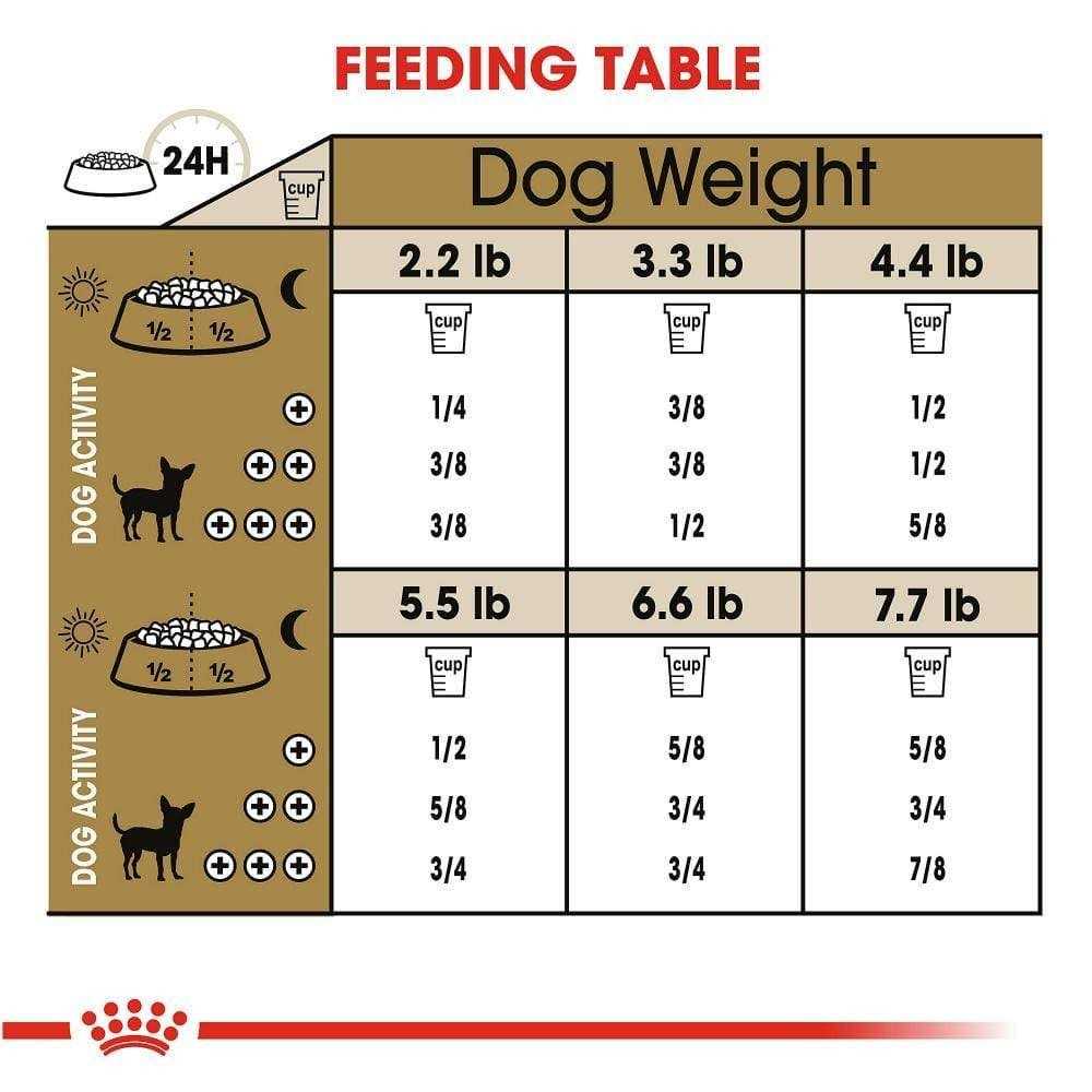 Royal Canin Chihuahua Adult Dry Dog Food 8 Plus Years - Healthber