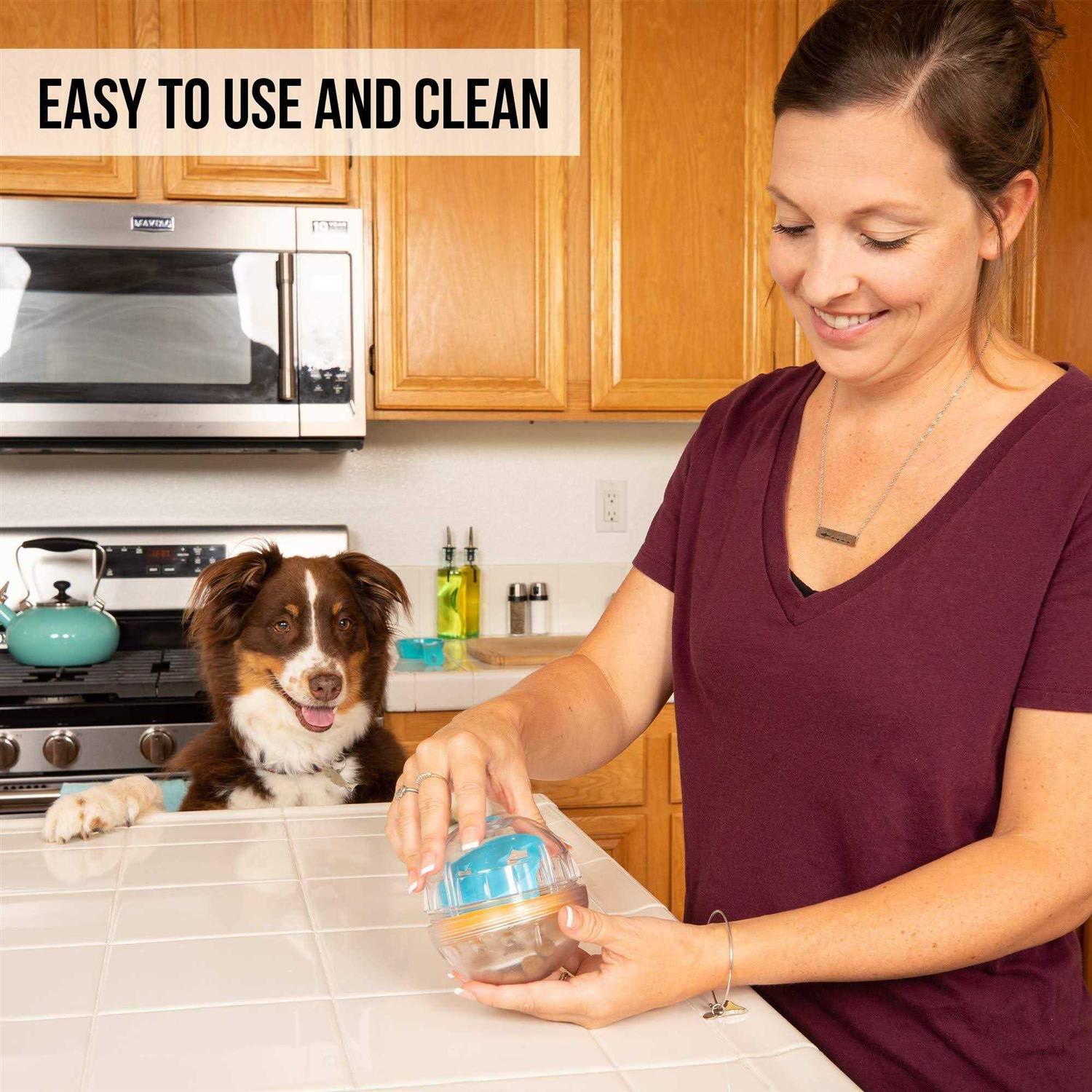 Pet Zone IQ Treat Ball Dog Toy - Healthber