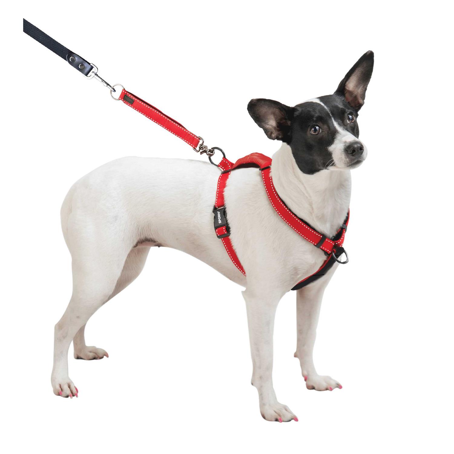 Sporn Ultimate Control Harness - Healthber