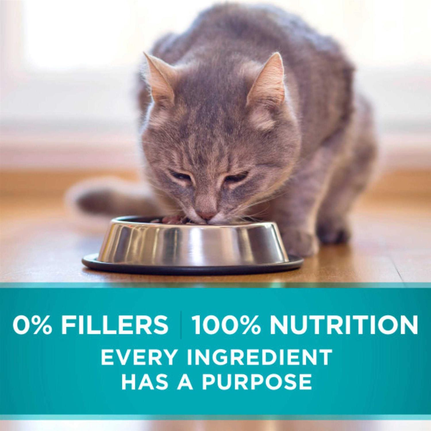 Purina ONE Indoor Advantage High Protein Ocean Whitefish & Rice Wet Cat Food - Healthber