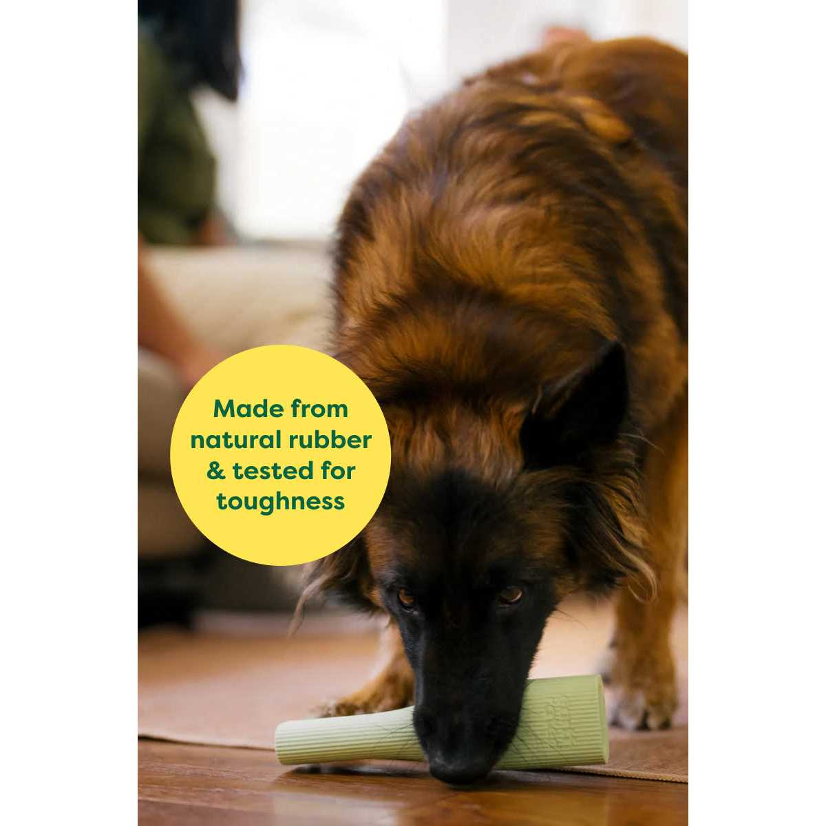 Earth Rated Rubber Chew Dog Toy - Healthber