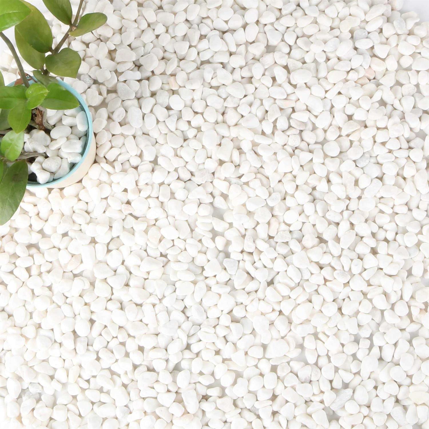 Anothera 18-lb Bulk Bag White Pebbles 1/2 Size Aquarium Gravel Outdoor Garden Paving Plant Decorative Stones - Healthber
