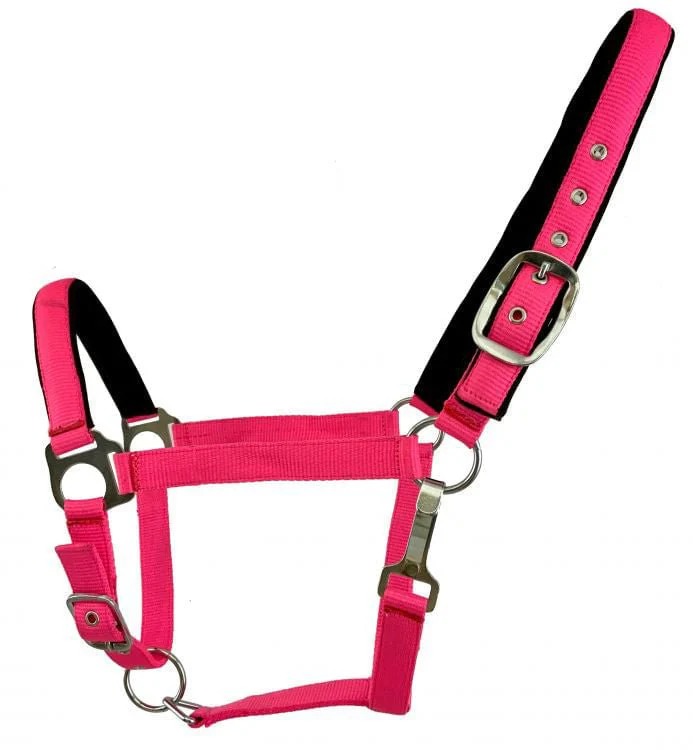 Showman Fluorescent Halters, Full - Healthber