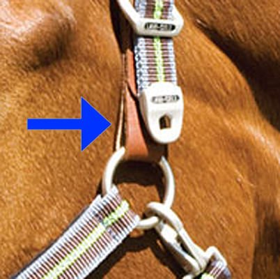 Replacement Tab for Breakaway Halter - Healthber