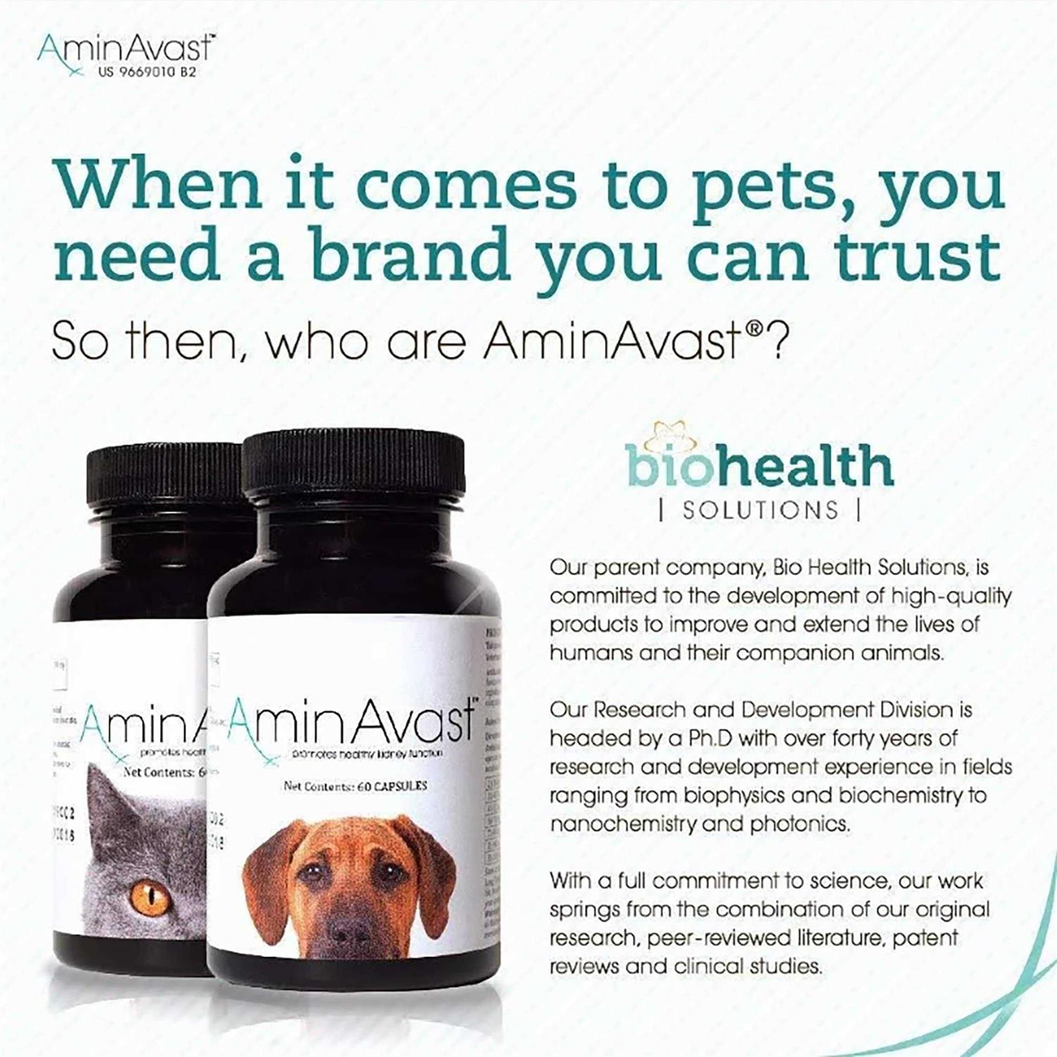 AminAvast Kidney Support for Cats - Healthber
