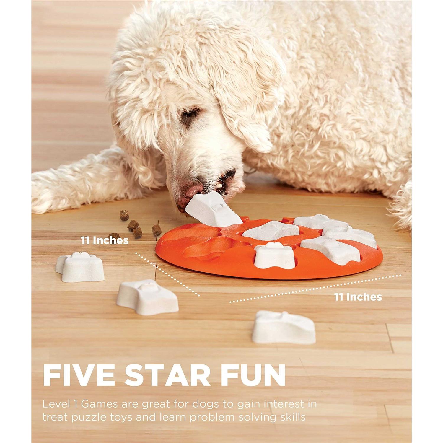 Outward Hound Nina Ottosson Dog Smart Puzzle Game - Healthber