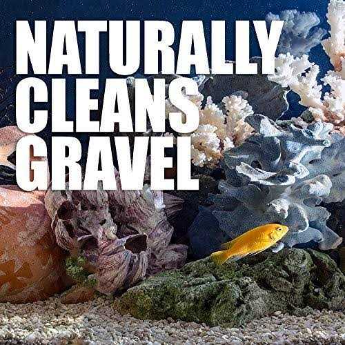 Natural Rapport Aquarium Gravel Cleaner The Only Gravel Cleaner Fish Need - Healthber