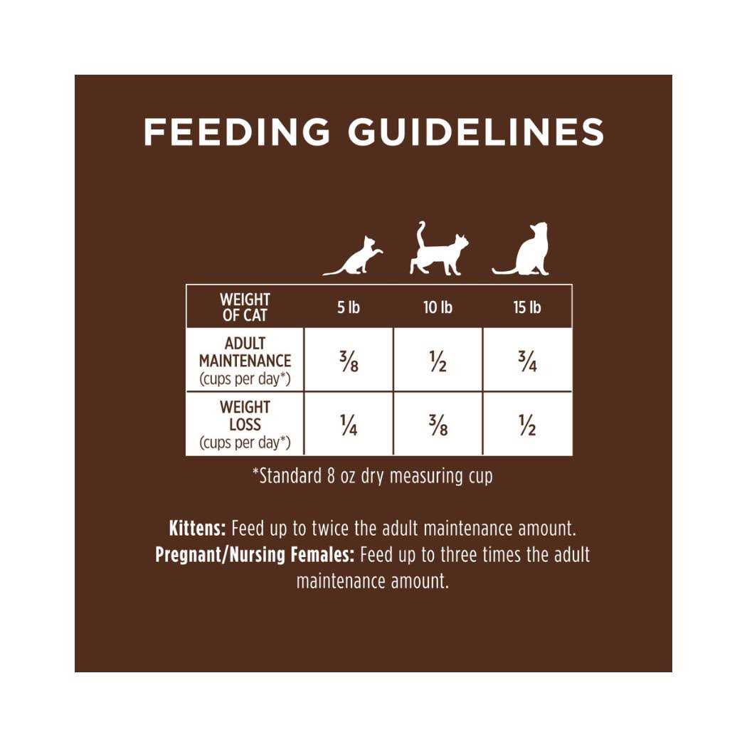 Instinct Original Grain Free Recipe with Real Dry Cat Food - Healthber