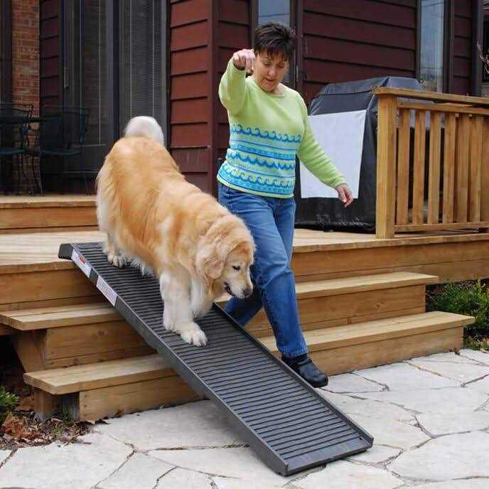 Petstep Folding Dog Ramp - Healthber