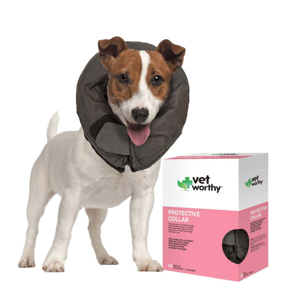 Vet Worthy Inflatable Protective Dog Collar - Healthber