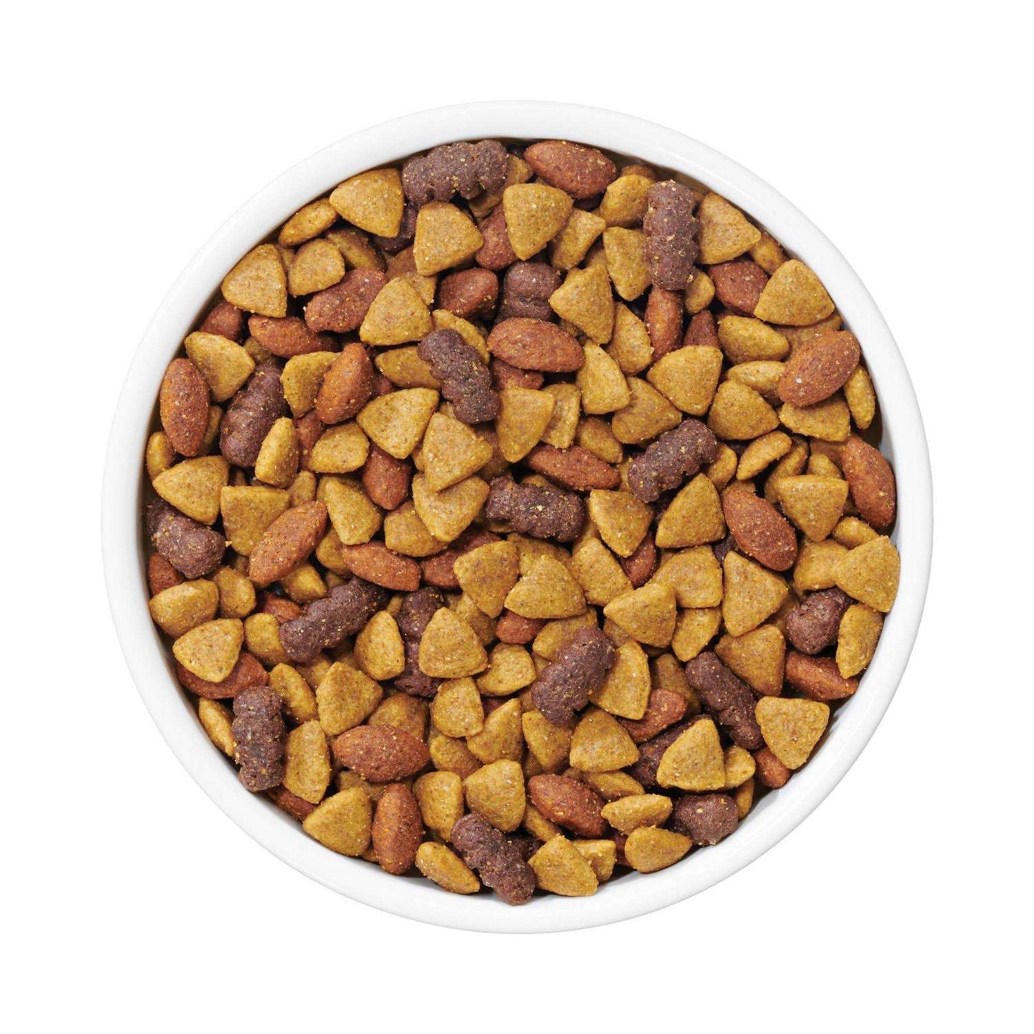 Dog Chow Purina Complete Adult Dry Dog Food - Healthber