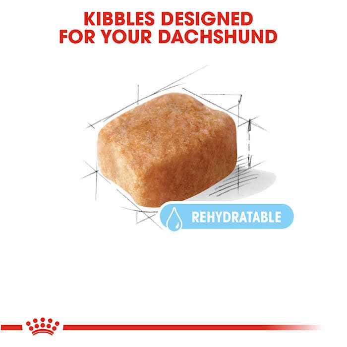 Royal Canin Breed Health Nutrition Dachshund 8+ Adult Dry Dog Food - Healthber