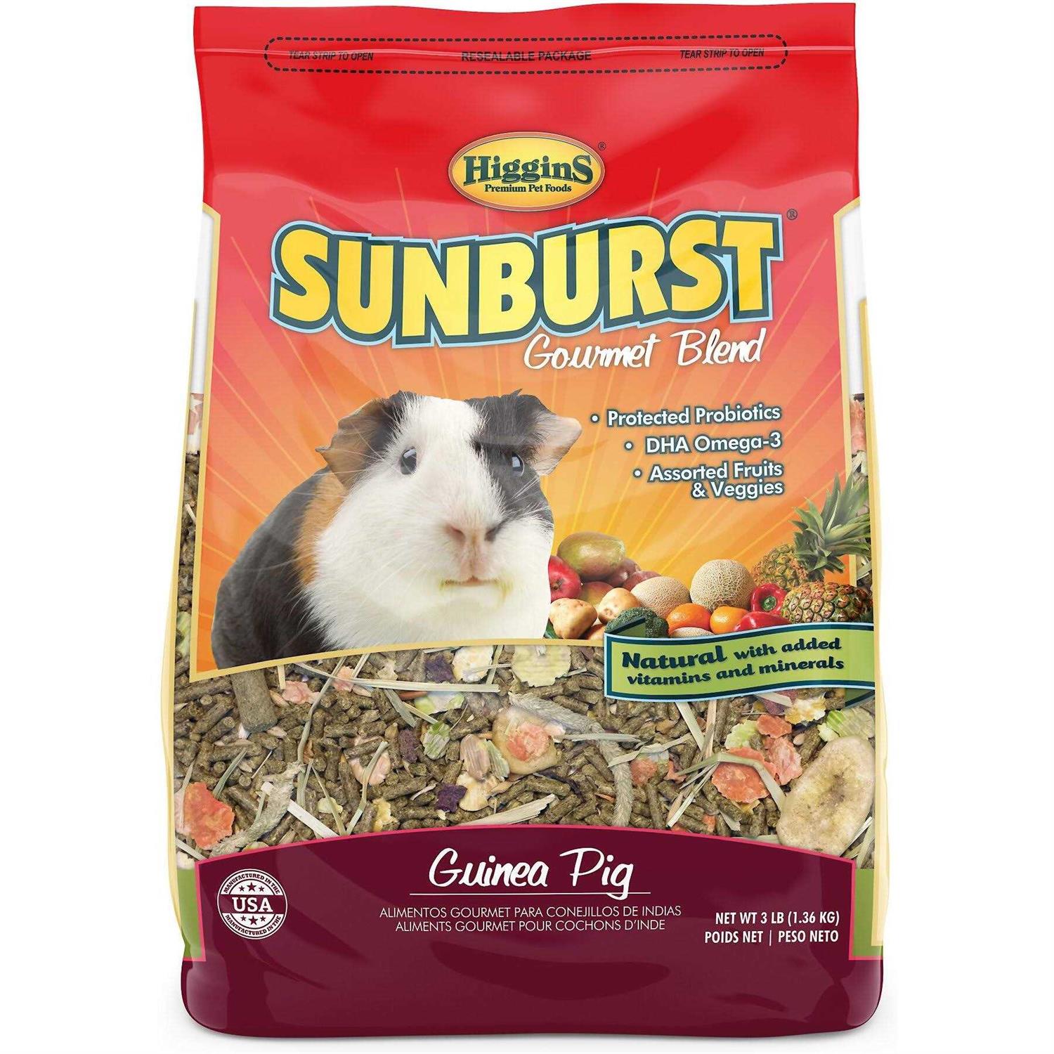 Higgins Sunburst Gourmet Guinea Pig Food - Healthber