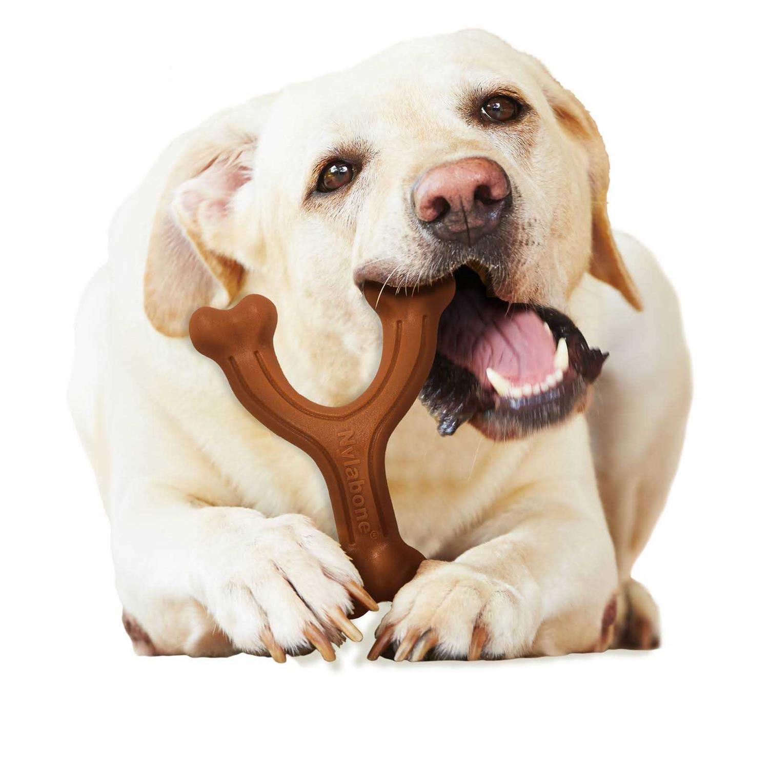 Nylabone Chew Wishbone Power Chew Dog Toy - Healthber