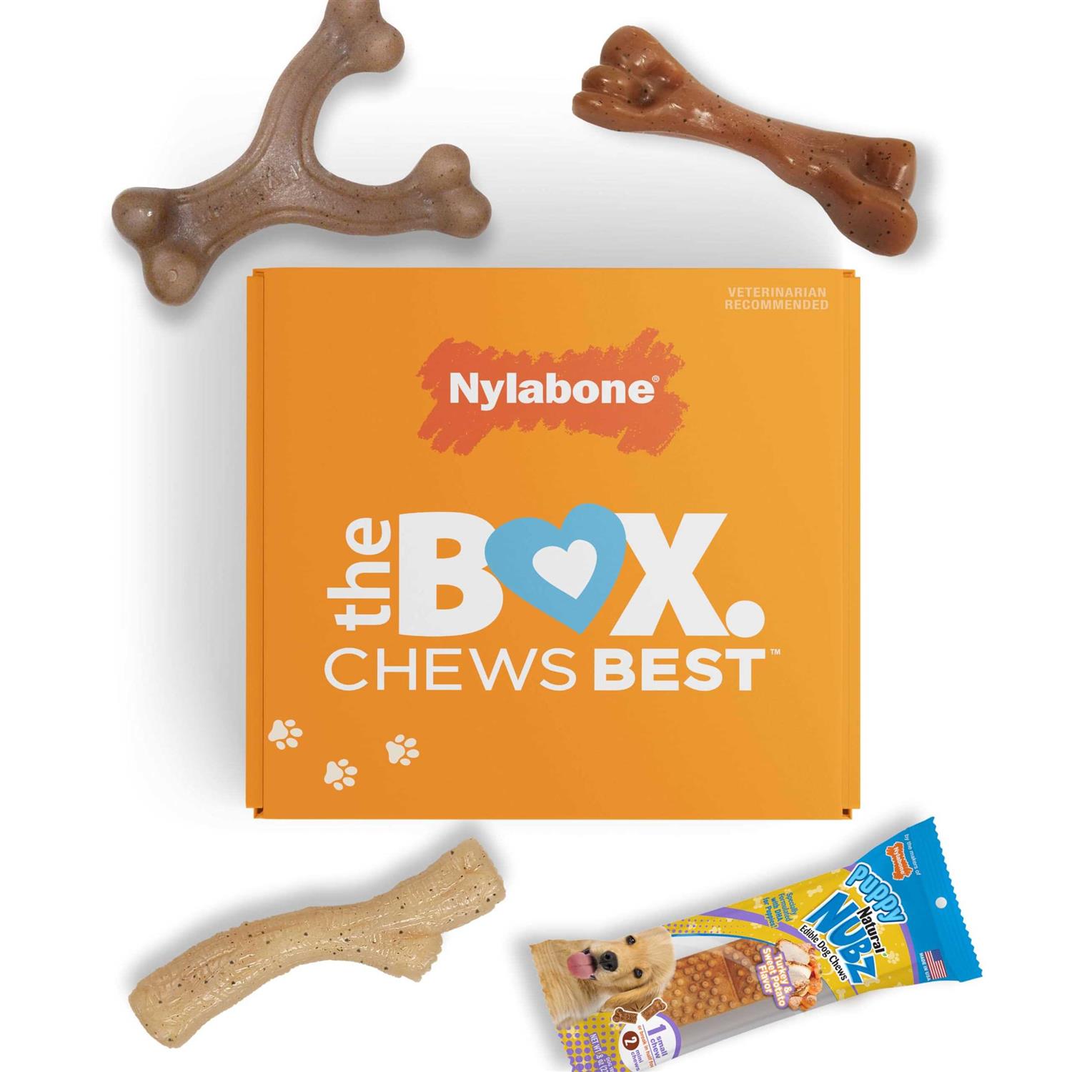 Nylabone The Box Chew Toy & Treat Gift Box Dogs - Healthber
