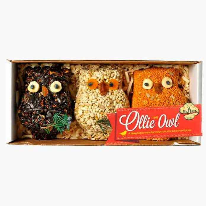 Mr. Bird Ollie Owl Bird Seed Ornaments - Healthber