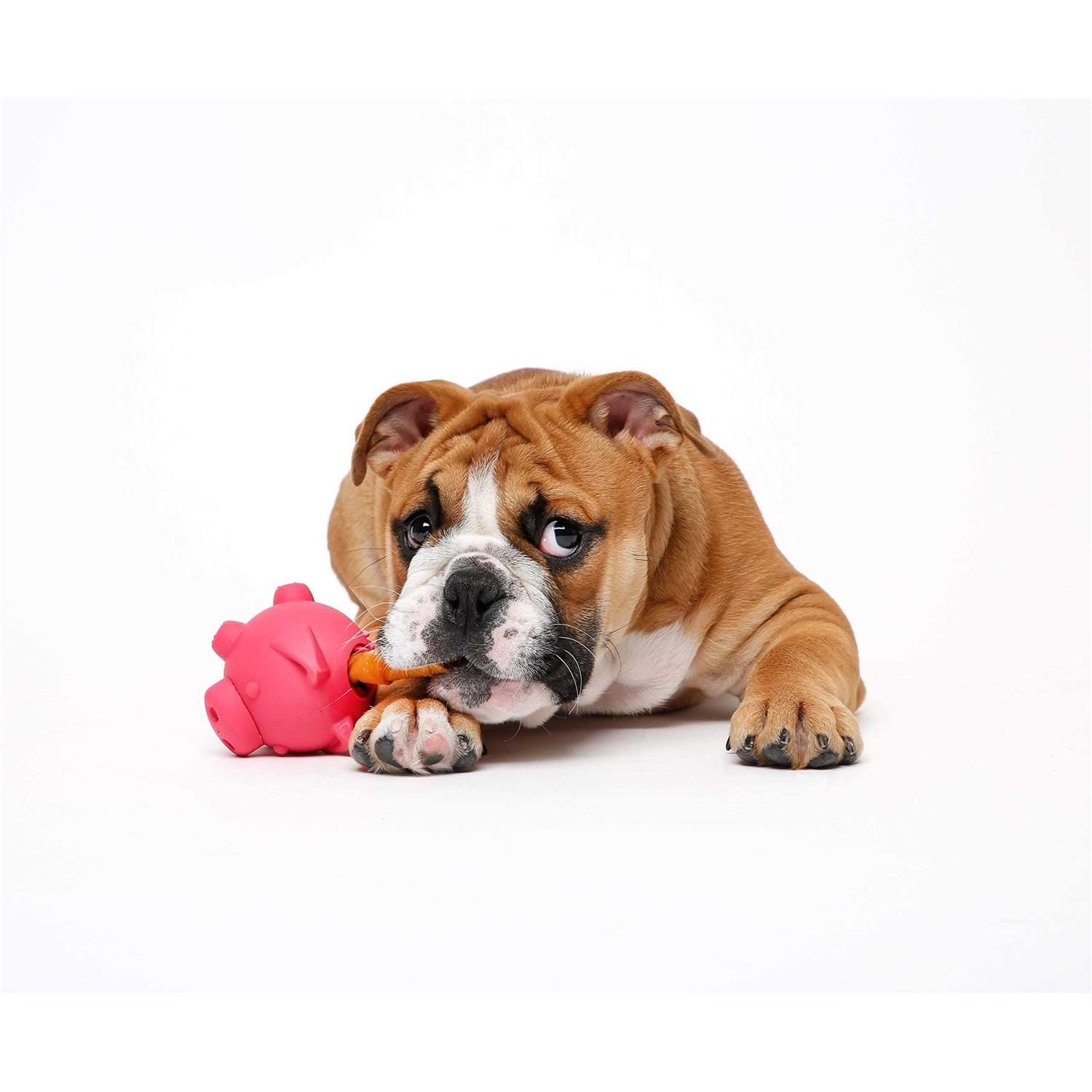 Hartz Tuff Stuff Treat Hogging Piglet Dog Toy - Healthber