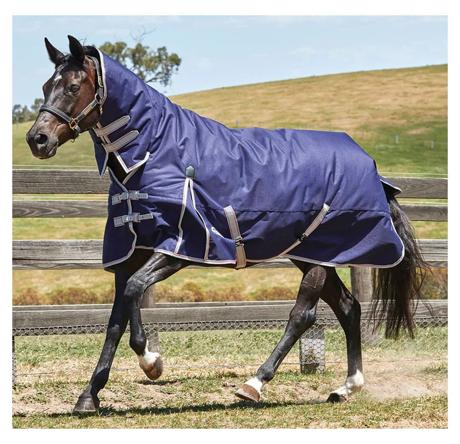 WeatherBeeta ComFiTec Essential Combo Neck Medium Weight Horse Blanket - Healthber