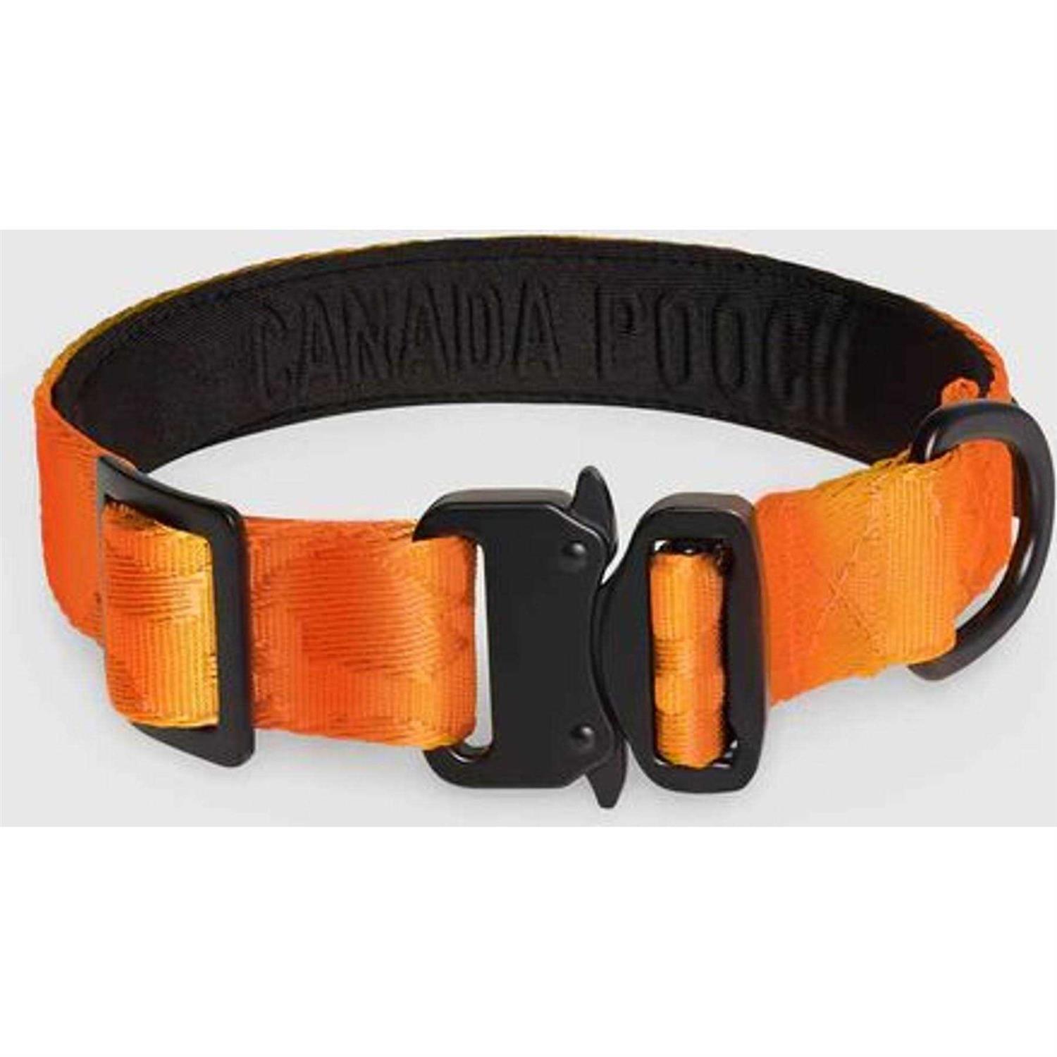 Canada Pooch Utility Dog Collar - Healthber