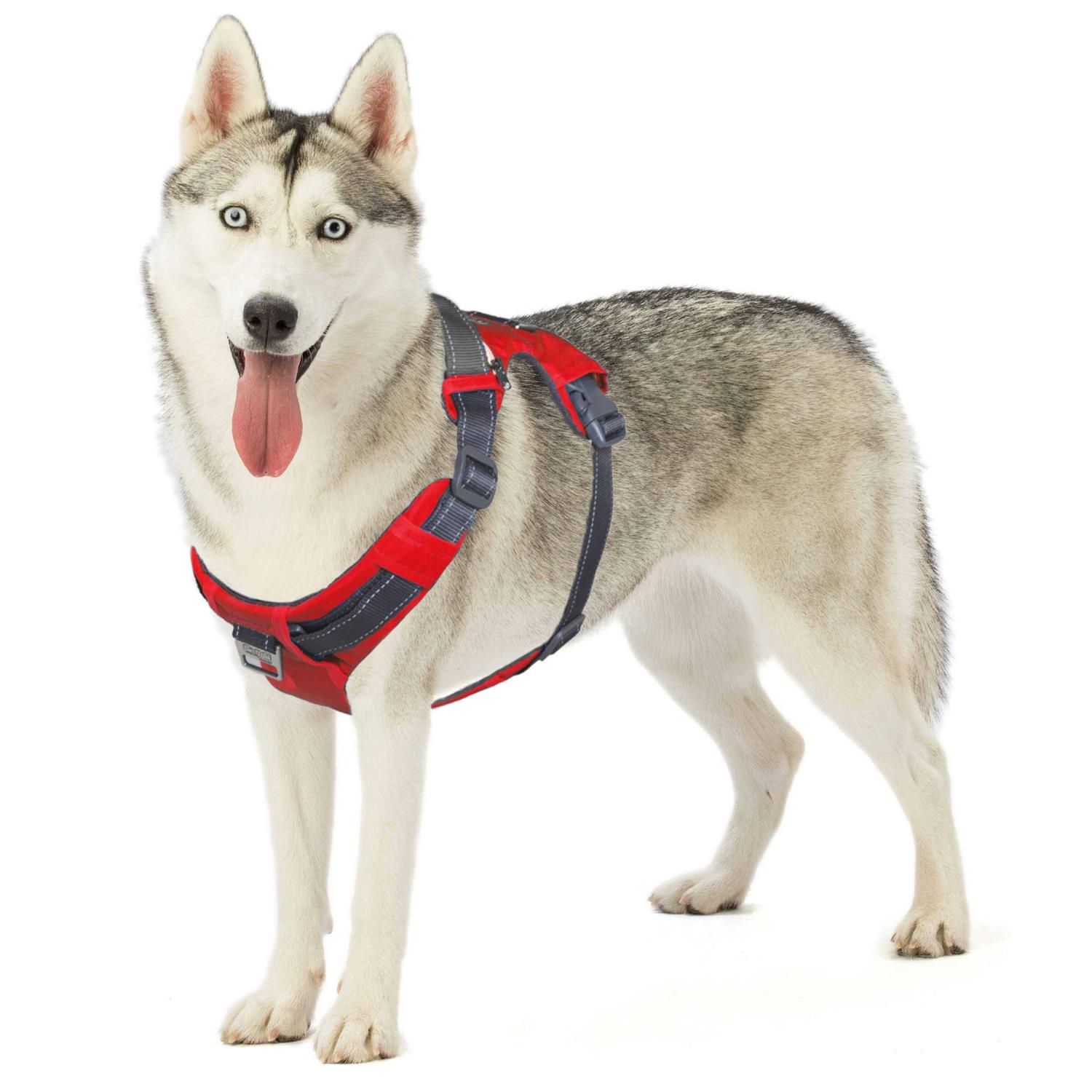 Outward Hound Boulder Adventure Adjustable Dog Harness with Pockets - Healthber