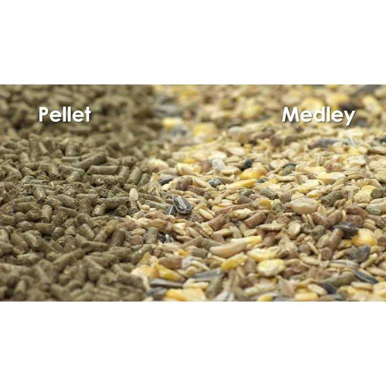 Kaytee Forti-Diet Pro Health Hamster Gerbil Food - Healthber