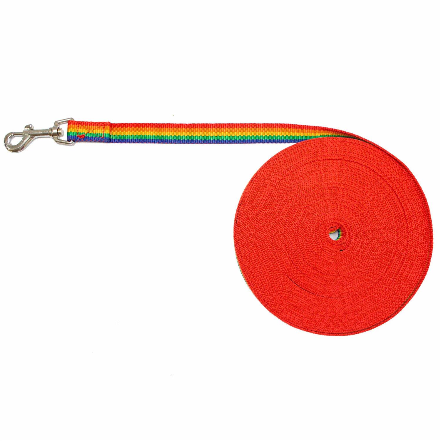 Downtown Pet Supply Long Lead Leash for Dog Training - Healthber
