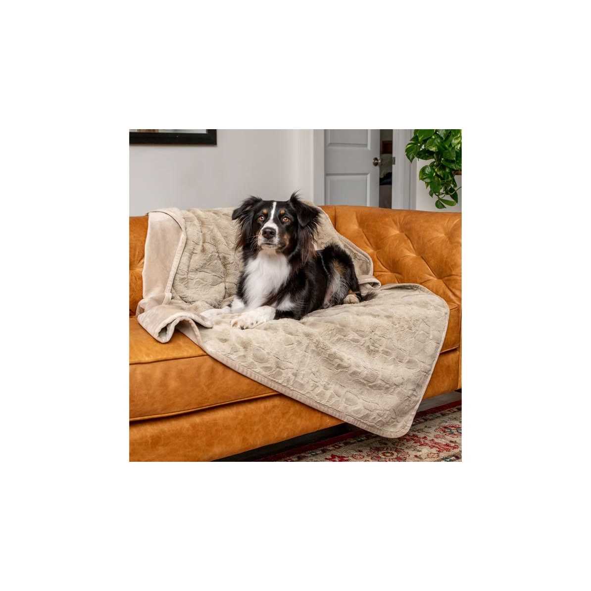 Retriever Simple Water-Resistant Pet Blanket - Healthber