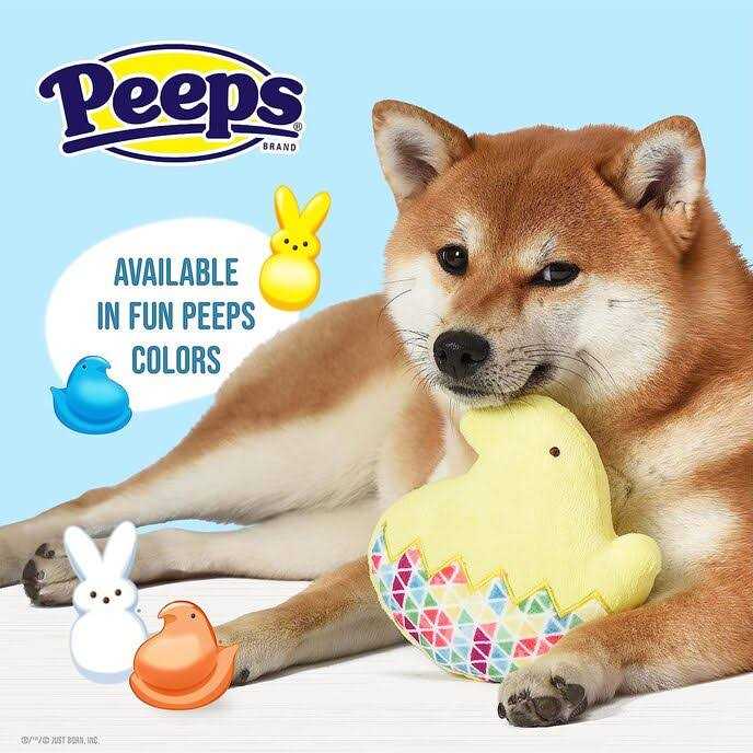 Peeps for Pets Chick 5 Inch Flattie Plush Dog Toy - Healthber
