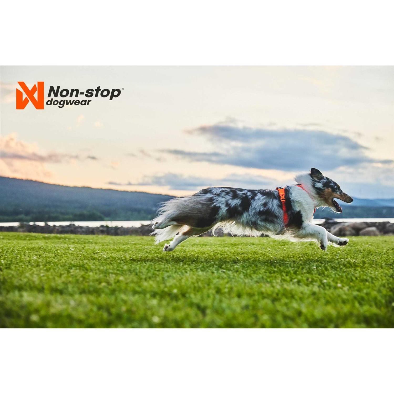 Non-Stop Dogwear Line Harness / Size - Healthber