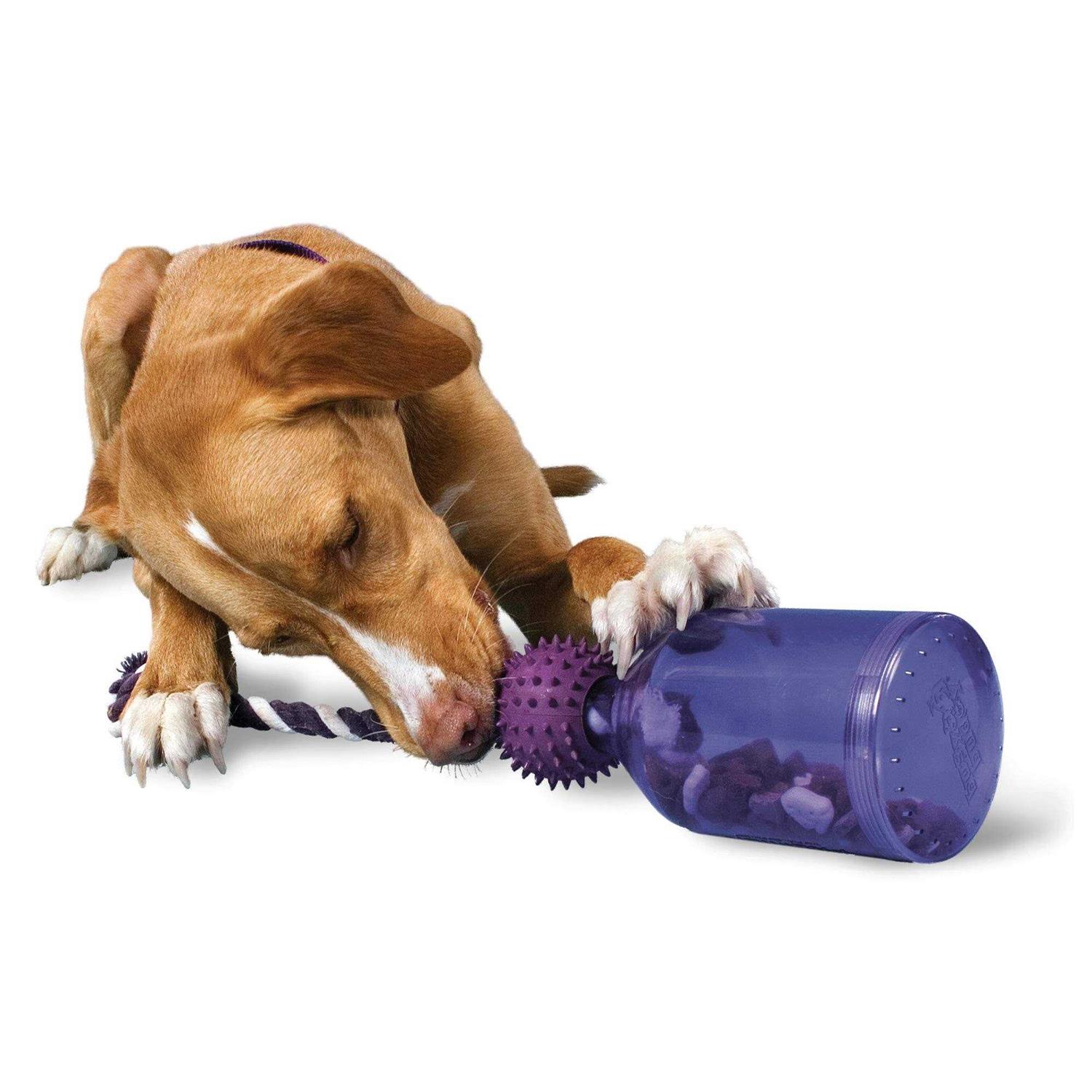 Busy Buddy Tug A Jug - Healthber