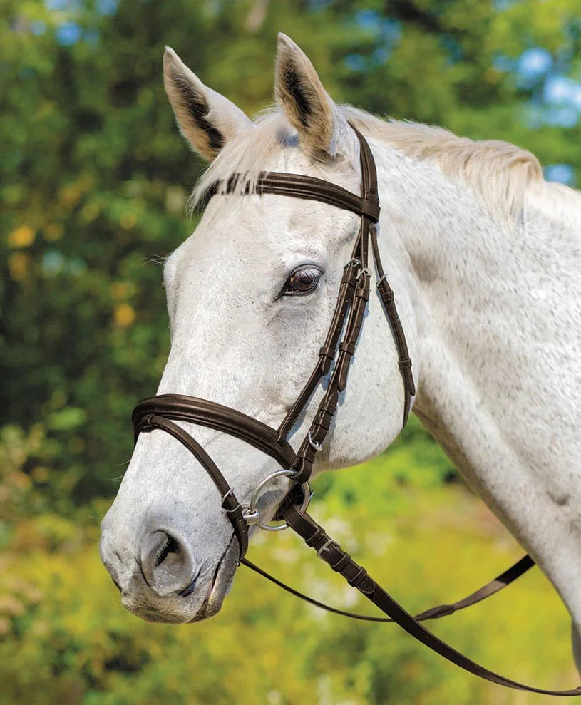 Shires Avignon Louisville Bridle - Healthber