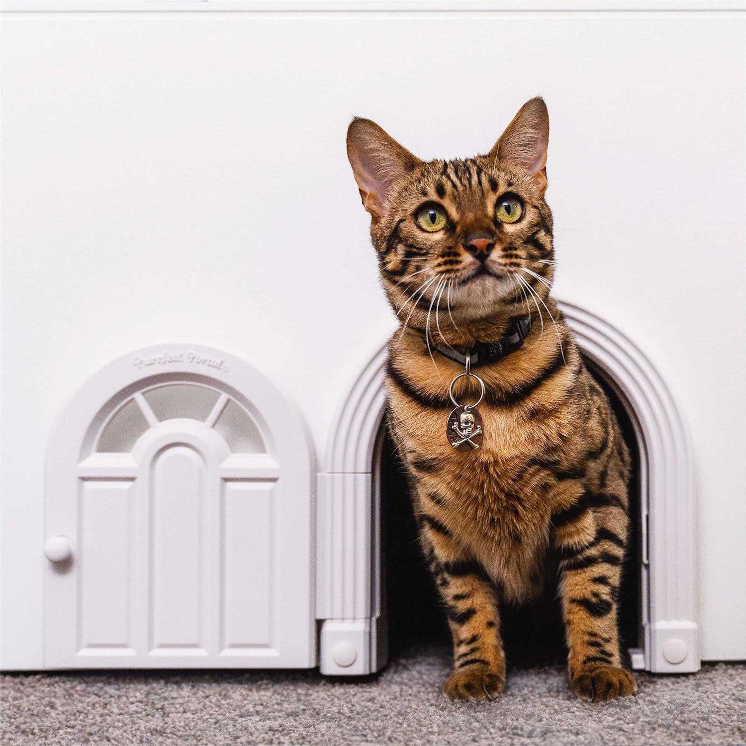 Purrfect Portal Interior Cat Door No-Flap Cat Door for Interior Door Cat Door Interior Door for Cats Up to 20 lbs - Healthber