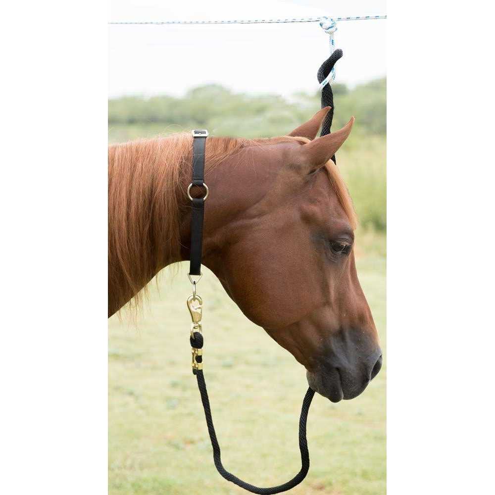 Mustang Neck Collar - Healthber