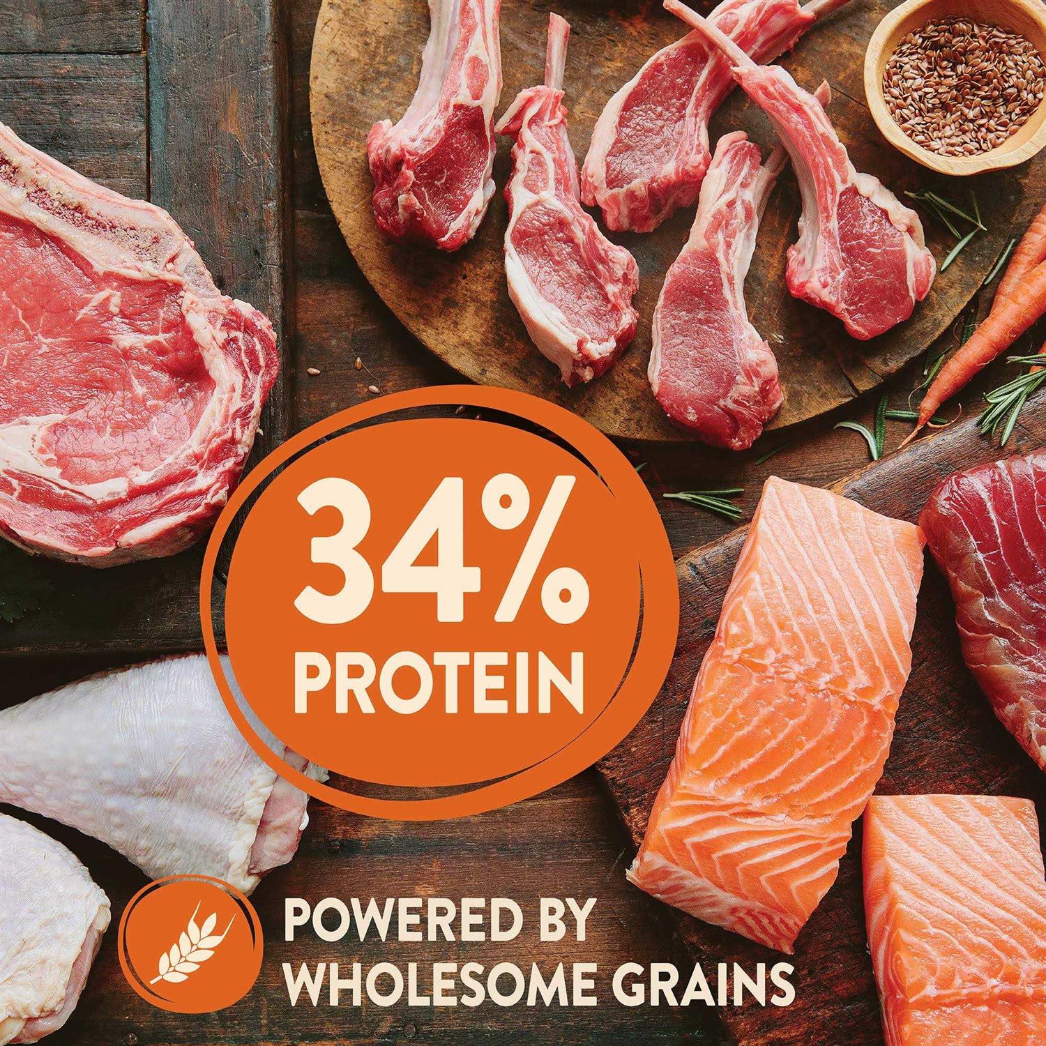 Wellness CORE High Protein Wholesome Grains Ocean Recipe Dry Dog Food - Healthber