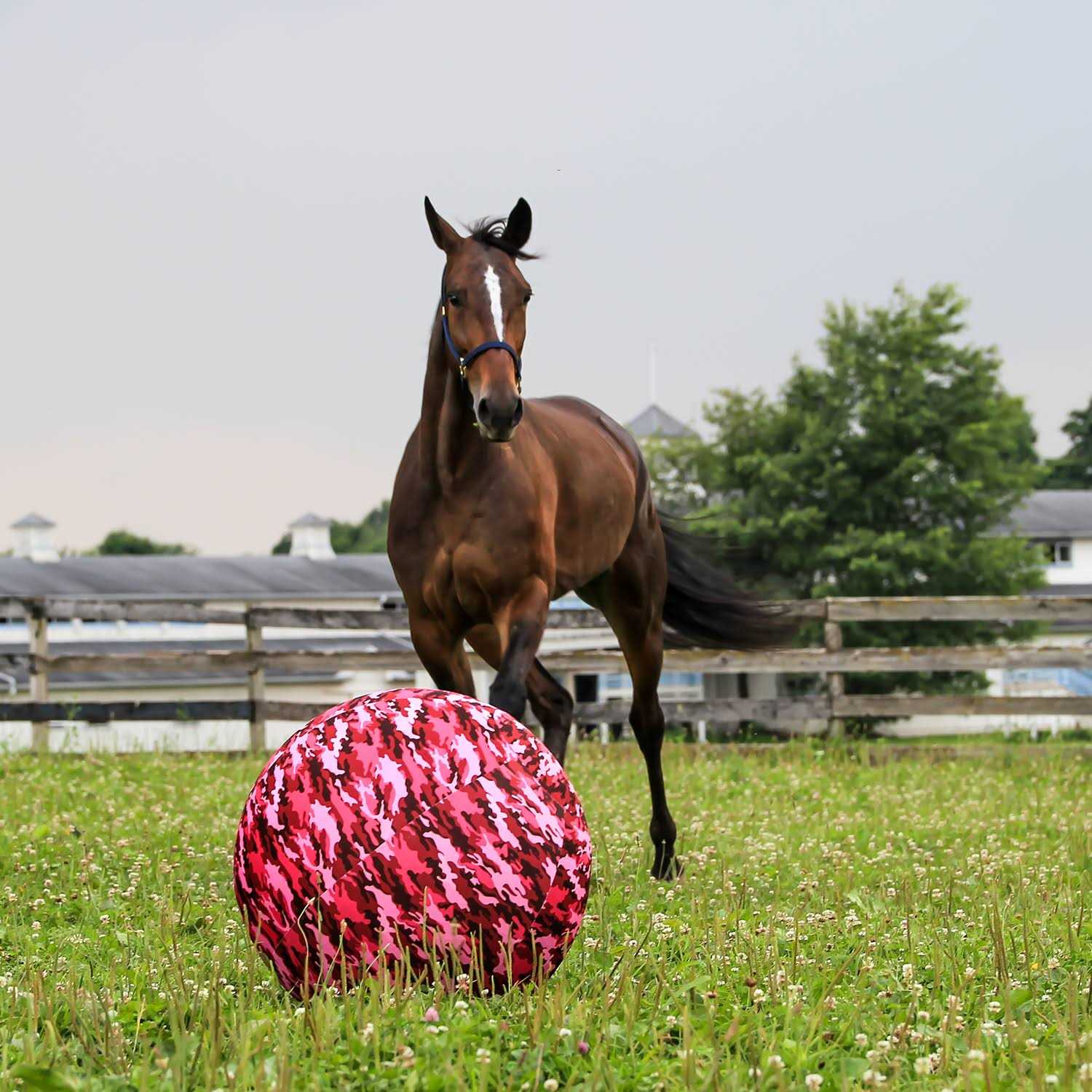 Horsemen’s Pride Mega Ball Cover - Healthber