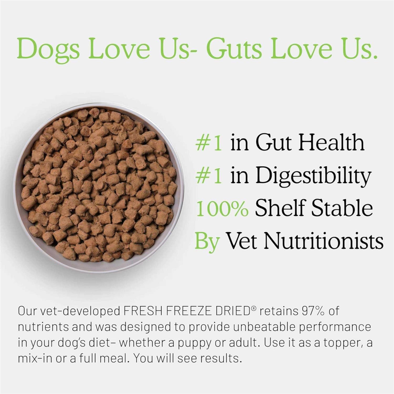 Get Joy Gut Health Fresh Freeze Dried Raw Meal, Beef Recipe Bag, Dog Food for Dogs of All Breeds and Life Stages - Healthber